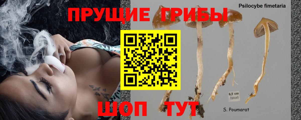 наркошоп  Галлюциногенные грибы Psilocybe  Вход с VPN  Сертолово 